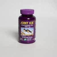 JOINT ICE
