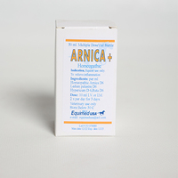 Arnica